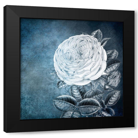 White Bloom 2 Black Modern Wood Framed Art Print with Double Matting by Kimberly, Allen