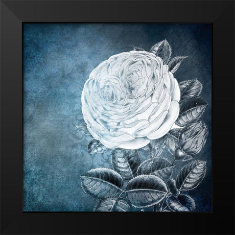 White Bloom 2 Black Modern Wood Framed Art Print by Kimberly, Allen