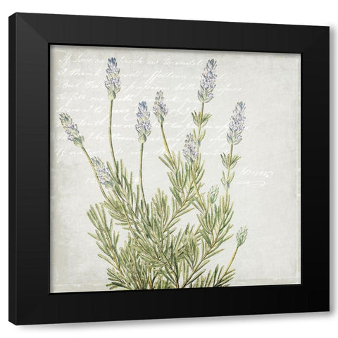 Lavender 1 Black Modern Wood Framed Art Print by Kimberly, Allen