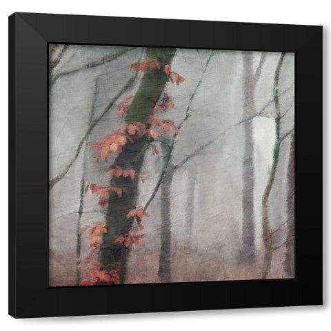 Fall Mood Black Modern Wood Framed Art Print with Double Matting by Kimberly, Allen