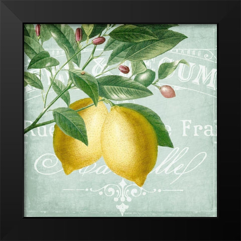 Lemon Drop 2 Black Modern Wood Framed Art Print by Kimberly, Allen