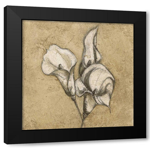 Calla Lily I Black Modern Wood Framed Art Print with Double Matting by Emery, Kristin