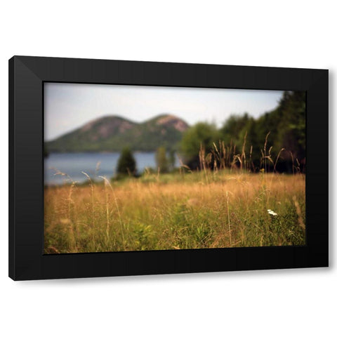 Grassy Field 1 Black Modern Wood Framed Art Print by Colberg, Lisa