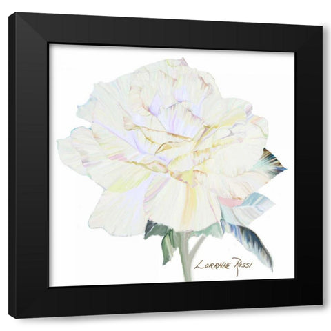Peace Rose 1 Black Modern Wood Framed Art Print with Double Matting by Rossi, Lorraine