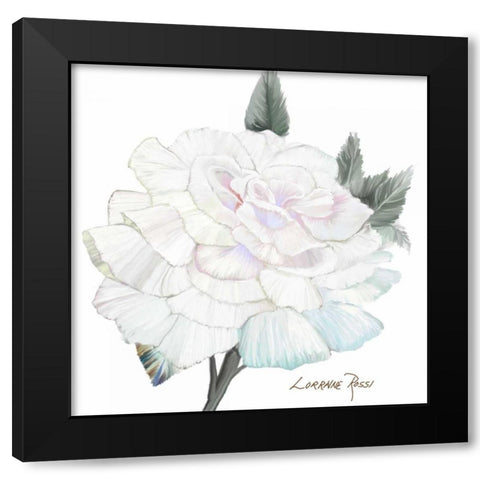Peace Rose 2 Black Modern Wood Framed Art Print by Rossi, Lorraine