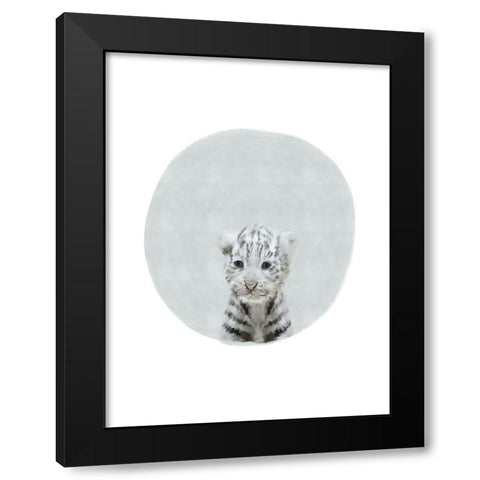 Baby White Tiger Black Modern Wood Framed Art Print by Straatsma, Leah
