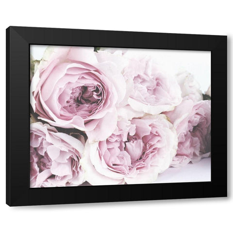 Roses File B Black Modern Wood Framed Art Print by Straatsma, Leah
