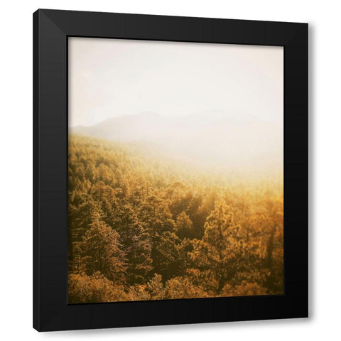 Golden Forest Black Modern Wood Framed Art Print by Straatsma, Leah