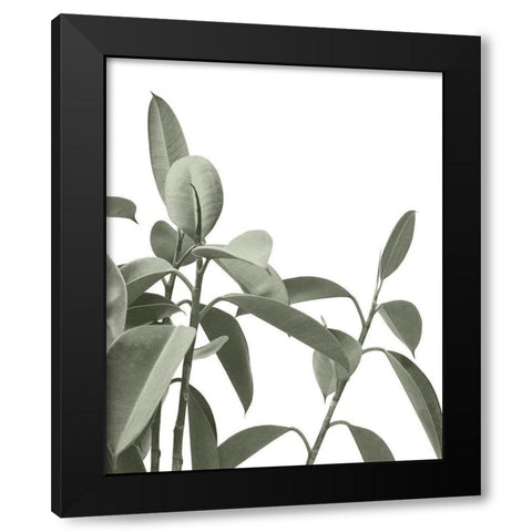 Pale Green Leaves Black Modern Wood Framed Art Print with Double Matting by Straatsma, Leah