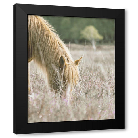 Golden Horse In Meadow Black Modern Wood Framed Art Print by Straatsma, Leah