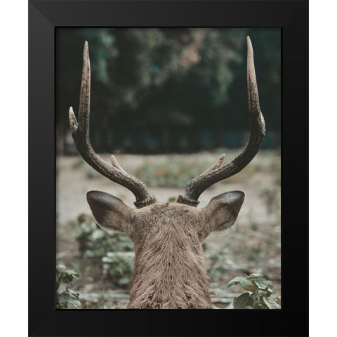 Deer With Antlers Black Modern Wood Framed Art Print by Straatsma, Leah