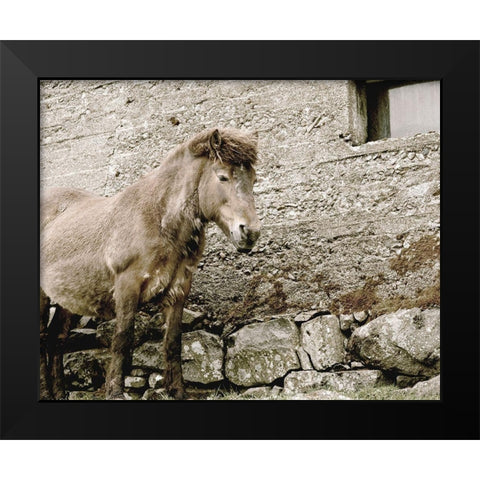 Brown Horse Rock Barn Black Modern Wood Framed Art Print by Straatsma, Leah