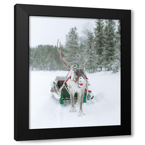 Reindeer and Sled Black Modern Wood Framed Art Print with Double Matting by Straatsma, Leah