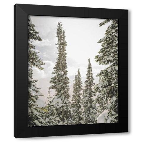 Snow Covered PInes Black Modern Wood Framed Art Print by Straatsma, Leah