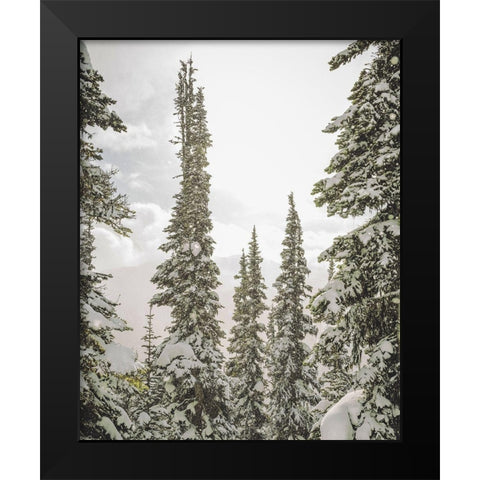 Snow Covered PInes Black Modern Wood Framed Art Print by Straatsma, Leah
