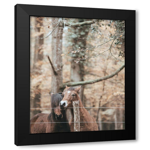 Best Friend Brown Horses Black Modern Wood Framed Art Print by Straatsma, Leah