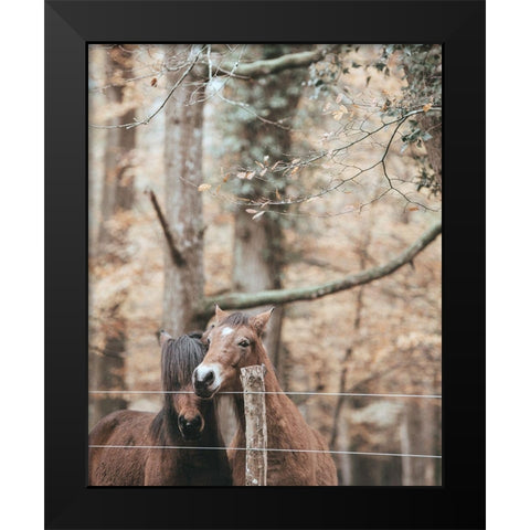 Best Friend Brown Horses Black Modern Wood Framed Art Print by Straatsma, Leah