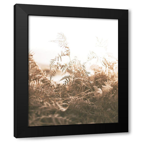 Faded Brown Ferns Black Modern Wood Framed Art Print by Straatsma, Leah