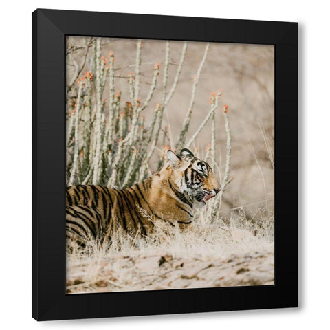 Tiger with Red Florals Black Modern Wood Framed Art Print by Straatsma, Leah