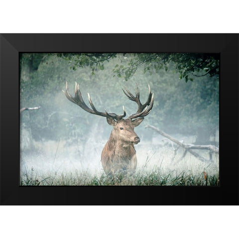 Friend of the Forest Black Modern Wood Framed Art Print by Straatsma, Leah