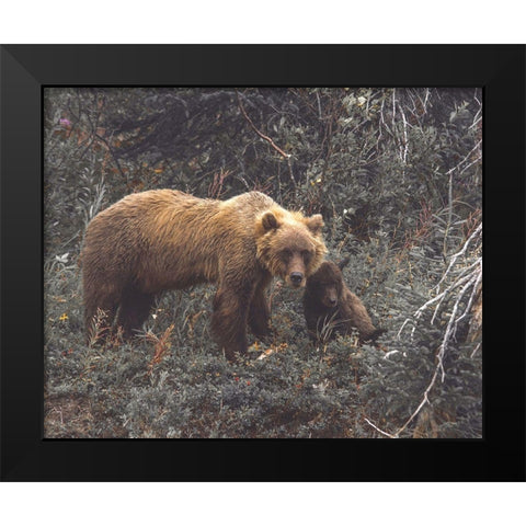Momma Bear Black Modern Wood Framed Art Print by Straatsma, Leah