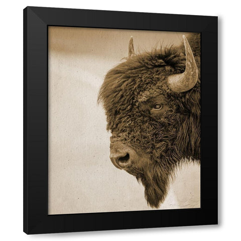Textured Bison Black Modern Wood Framed Art Print by Straatsma, Leah