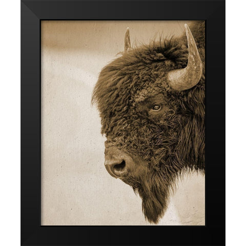 Textured Bison Black Modern Wood Framed Art Print by Straatsma, Leah