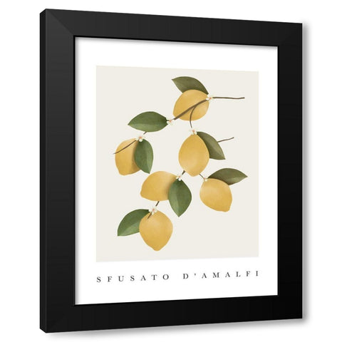 Amalfi Lemons Black Modern Wood Framed Art Print with Double Matting by Straatsma, Leah