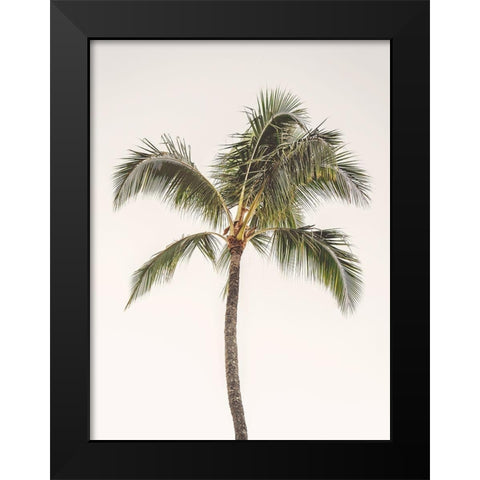 Rosy Palm Tree Black Modern Wood Framed Art Print by Straatsma, Leah