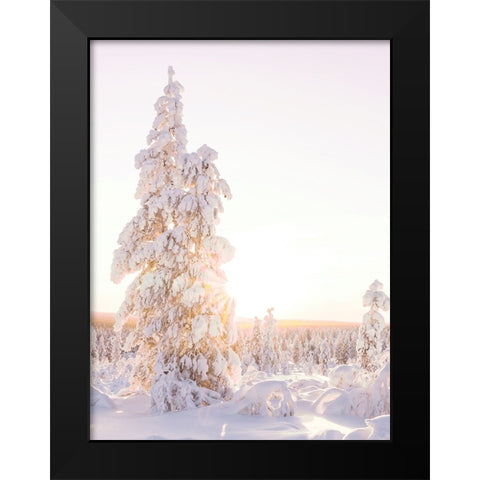 Cotton Candy Christmas Black Modern Wood Framed Art Print by Straatsma, Leah