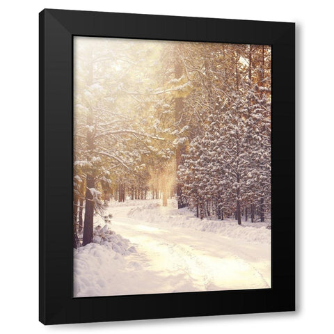 Magical Winter Path Black Modern Wood Framed Art Print by Straatsma, Leah