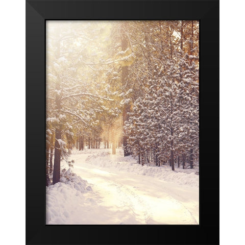 Magical Winter Path Black Modern Wood Framed Art Print by Straatsma, Leah