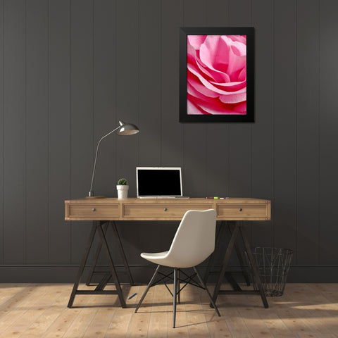 Rose Nahbereich Black Modern Wood Framed Art Print by May