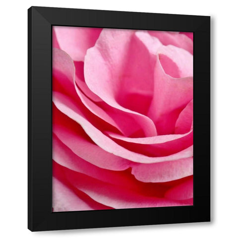 Rose Nahbereich Black Modern Wood Framed Art Print with Double Matting by May