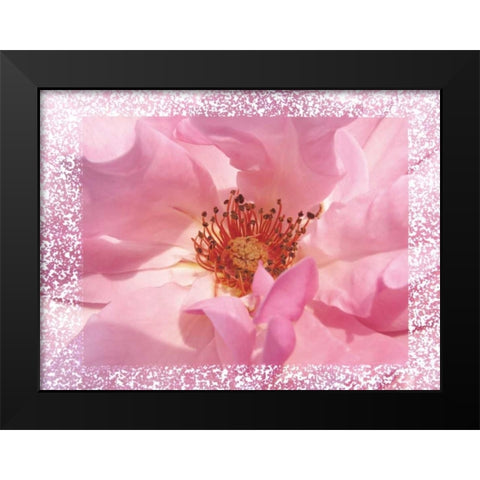 Rosenkern Rahmen Black Modern Wood Framed Art Print by May