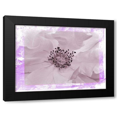 Rosenkern Rahmen 2 Black Modern Wood Framed Art Print with Double Matting by May