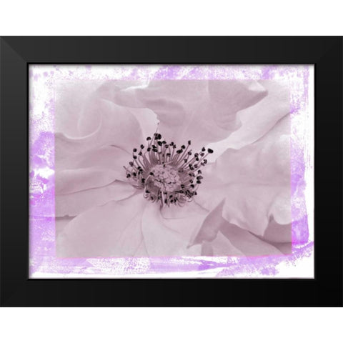 Rosenkern Rahmen 2 Black Modern Wood Framed Art Print by May