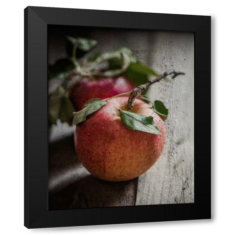 Apple Duo Black Modern Wood Framed Art Print with Double Matting by Hogan, Melody