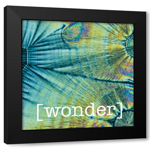 Wondering Coconuts Black Modern Wood Framed Art Print by Hogan, Melody