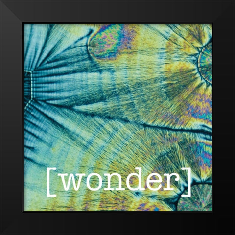 Wondering Coconuts Black Modern Wood Framed Art Print by Hogan, Melody