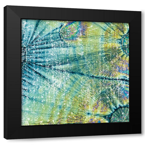 Distressed Coconuts Black Modern Wood Framed Art Print by Hogan, Melody