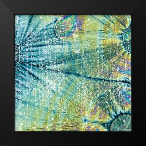 Distressed Coconuts Black Modern Wood Framed Art Print by Hogan, Melody