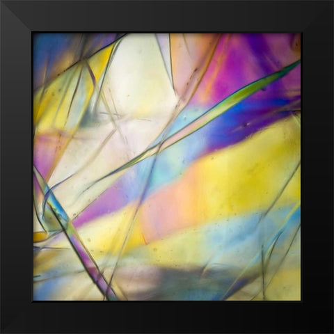 Stain Glass 2 Black Modern Wood Framed Art Print by Hogan, Melody