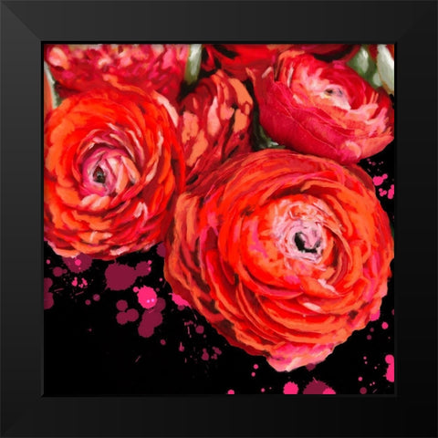 Fiery Ranunculus Black Modern Wood Framed Art Print by Hogan, Melody