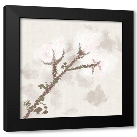 Cotton Boll 3 Black Modern Wood Framed Art Print with Double Matting by Hogan, Melody