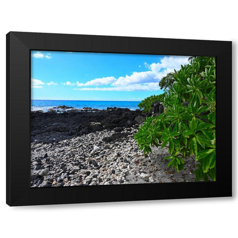 Shoreline  Path Black Modern Wood Framed Art Print by Nebula, Melissa