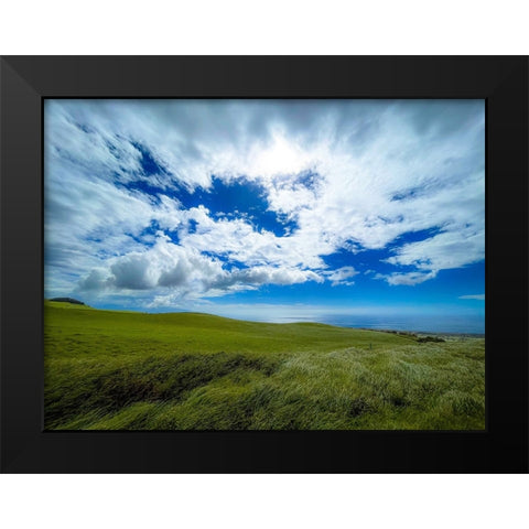 Hills of Kohala Black Modern Wood Framed Art Print by Nebula, Melissa