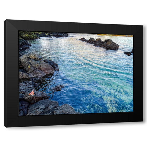 Ocean Echoes Black Modern Wood Framed Art Print by Nebula, Melissa