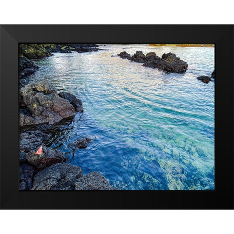 Ocean Echoes Black Modern Wood Framed Art Print by Nebula, Melissa