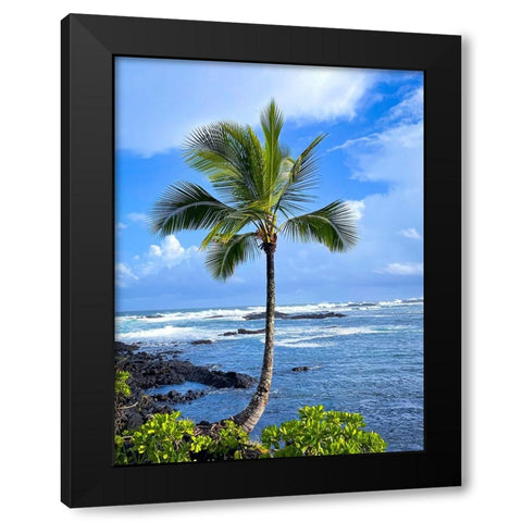 Palm Calm Black Modern Wood Framed Art Print by Nebula, Melissa